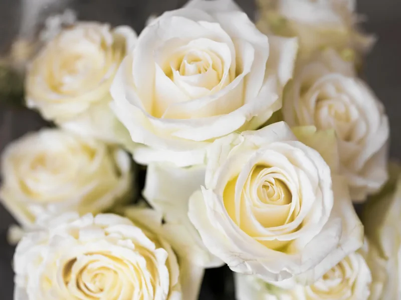 Kirchenaustritt Trauerfeier